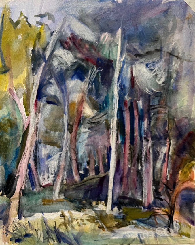 Molly's Vermont hillside